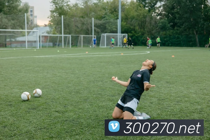 多彩内容专区